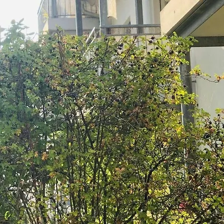 Vakantiehuis Domilia Comfortable Owingen