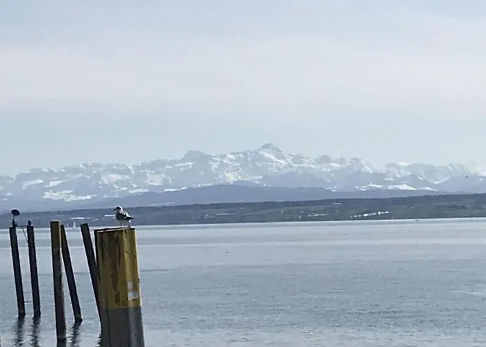 Domilia Comfortable Tatil Evi Owingen