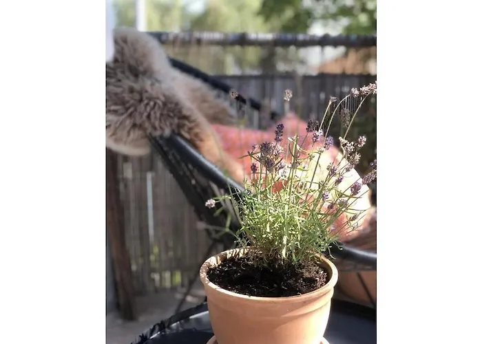 Tatil Evi Domilia Comfortable Owingen